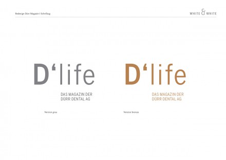 Slider_03_Dlife_RedesignDürr-Booklet29 Kopie